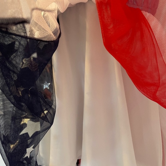 Minnie Mouse Americana Chambray and Tulle Dress - Picture 3 of 5